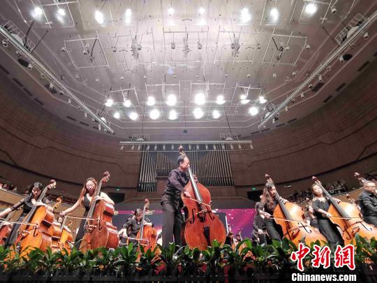 杨振安与学生用70把低音提琴一同奏响《我和我的祖国》。　付敬懿 摄